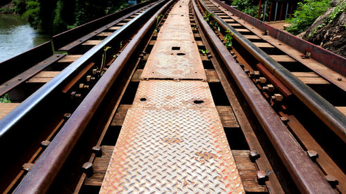 High angle view of railroad tracks amidst trees