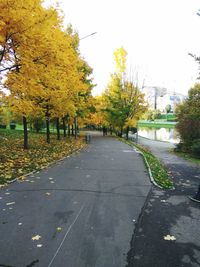 Road amidst trees against clear sky during autumn