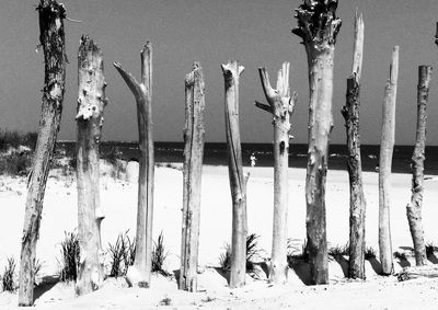 Panoramic view of wooden post on snow field against sky