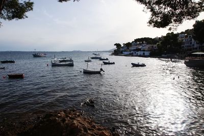 Boats moored in sea against sky