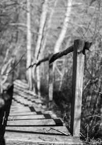 Close-up of wooden railing in forest