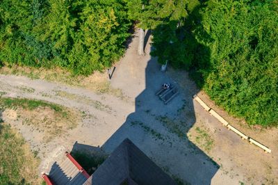 High angle view of road amidst trees