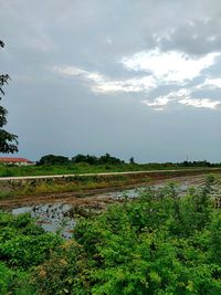 Scenic view of field against sky