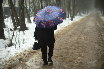 umbrella