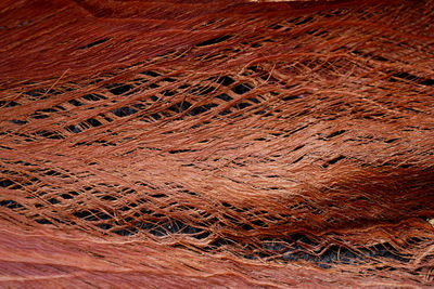 Full frame shot of abstract pattern