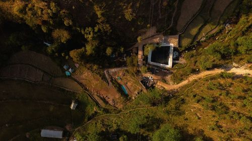 High angle view of trees in forest