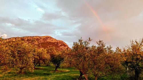 Scenic view of rainbow over landscape against sky