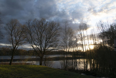 Bare trees by lake against sky