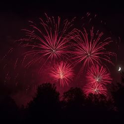 Low angle view of firework display at night