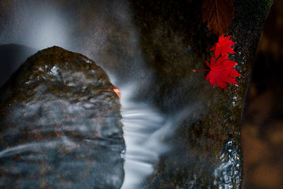 Close-up of water flowing through rocks