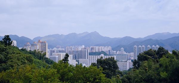 Trees and buildings in city against sky