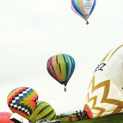 Hot air balloons flying in sky