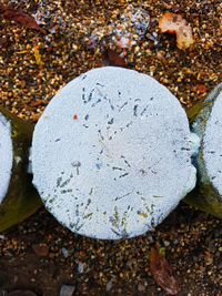 Close-up of pebbles on beach