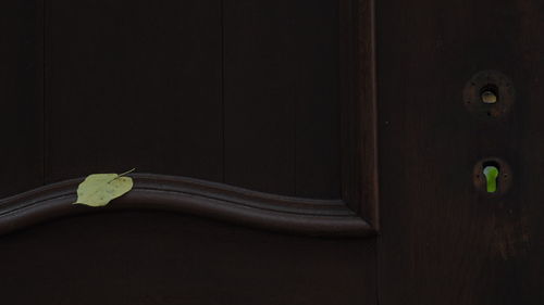 Close-up of door