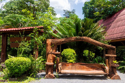 Plants outside house against trees and building