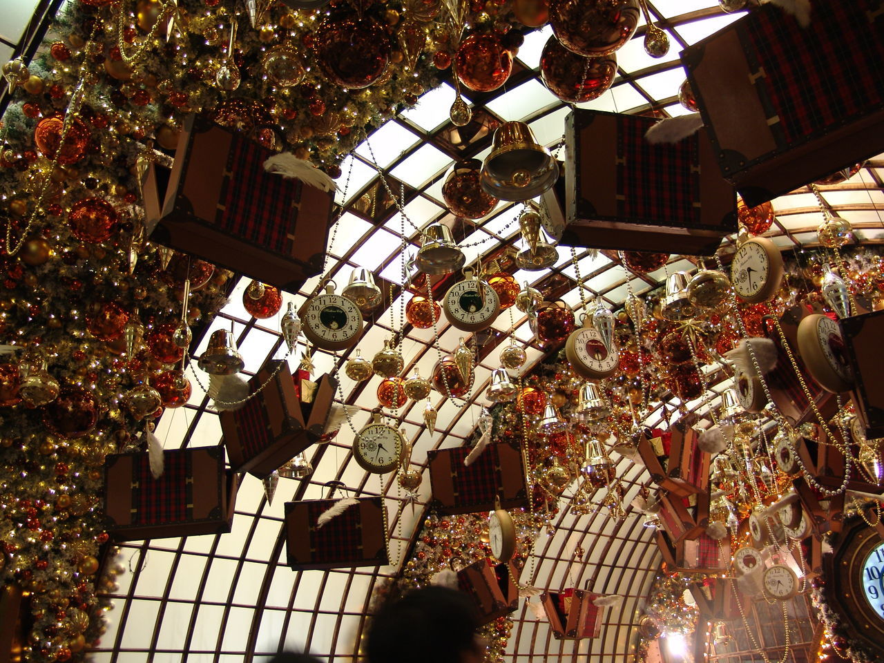 LOW ANGLE VIEW OF HANGING LIGHTS AGAINST TREES