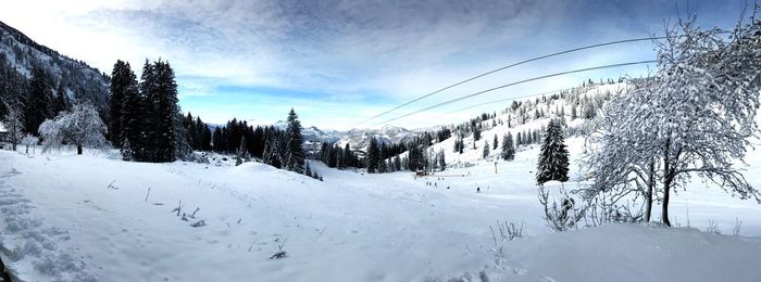 Snow covered land and trees against sky