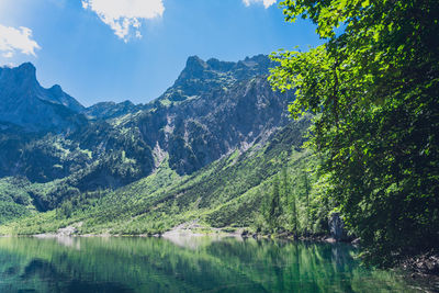 Panoramic view of lake amidst trees against sky