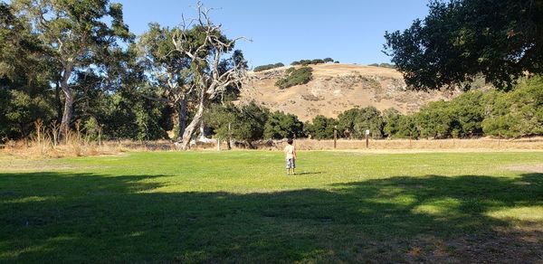 People playing soccer on field against trees