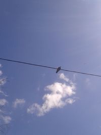 Low angle view of silhouette birds on cable against sky