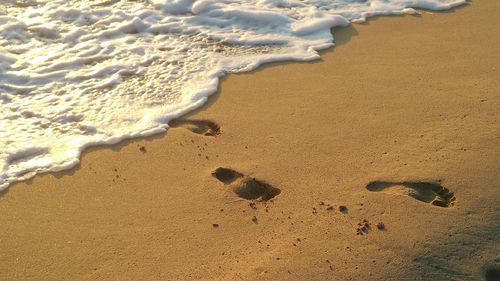 High angle view of footprints on sand at beach