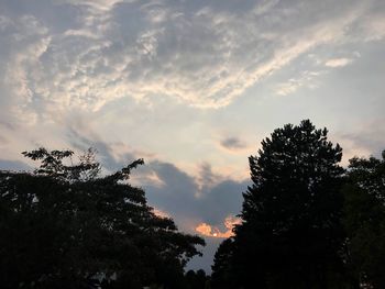 Low angle view of silhouette trees against sky during sunset