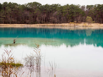 Scenic view of lake