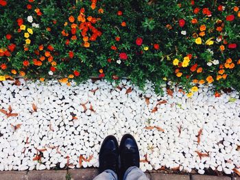 Low section of person standing in autumn leaves