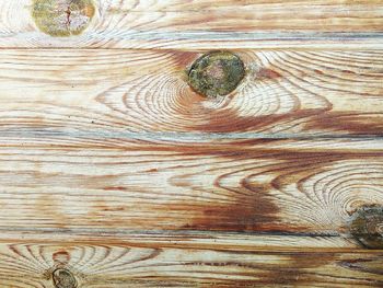 Full frame shot of tree trunk