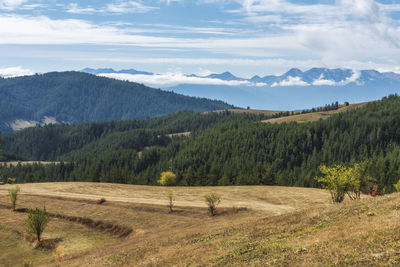 Scenic view of field against sky