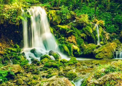 Scenic view of waterfall in forest