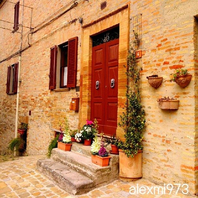 building exterior, architecture, built structure, window, wall - building feature, residential building, house, red, brick wall, building, outdoors, day, residential structure, potted plant, wall, street, plant, door, no people, multi colored