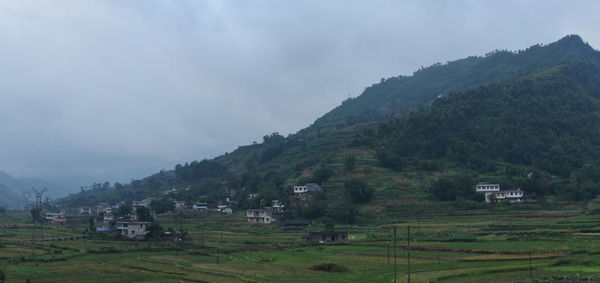 Scenic view of rural landscape