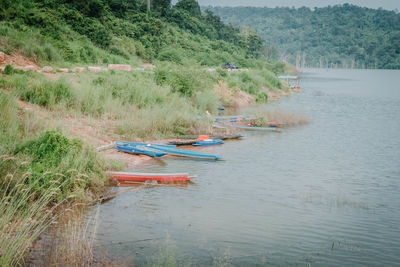 High angle view of river amidst trees