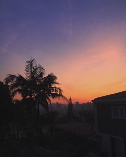 Silhouette of trees at sunset