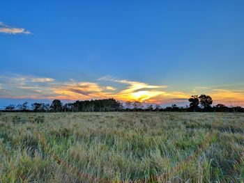 Scenic view of field against sky during sunset