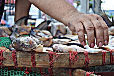 Man feeding fish for sale in market