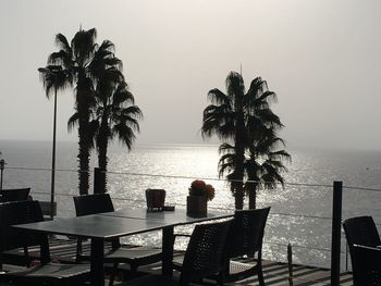 Palm trees on beach against sky