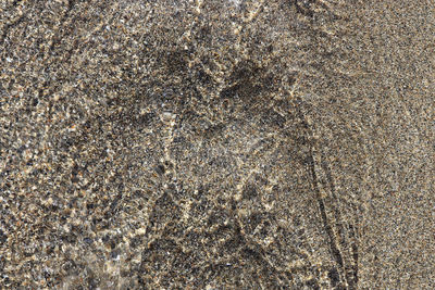 Full frame shot of rocks on beach