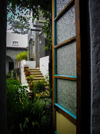 Plants and tree in front of building