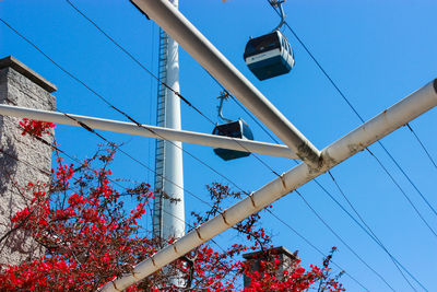 Low angle view of flowering plants against blue sky