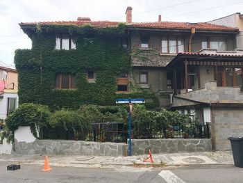 Houses by street in town