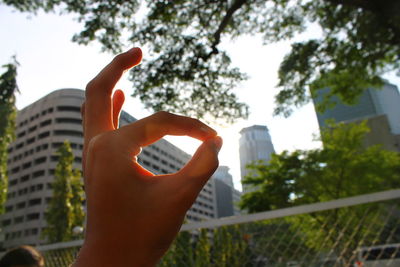 Close-up of hand holding tree against building