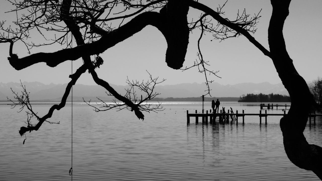 SILHOUETTE TREE BY LAKE AGAINST SKY