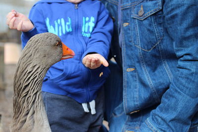 Close-up of boy with father feeding goose