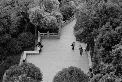 High angle view of people by tree