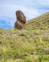 Rock formation on field against sky