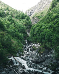 Scenic view of waterfall in forest