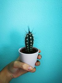 Midsection of person holding potted plant against wall