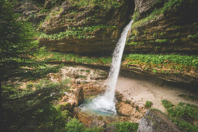 Scenic view of waterfall in forest